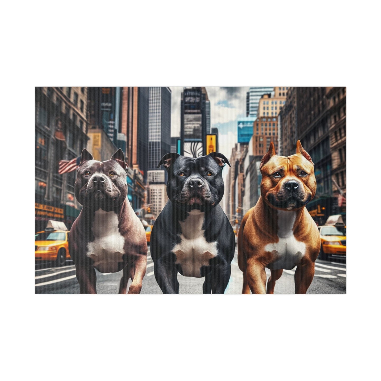 3 friends in New York